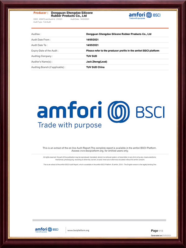BSCI factory inspection report official document